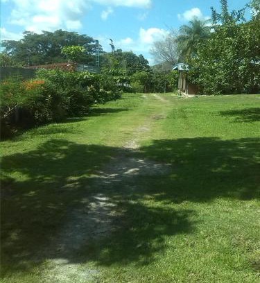 Curubande Cabin | Discover Tiquisia Lodge: Pet Friendly & Family Welcoming