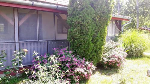 Kiskore Apartment | Pet-Friendly Tiszai Vándor Apartmanház with Breakfast Included
