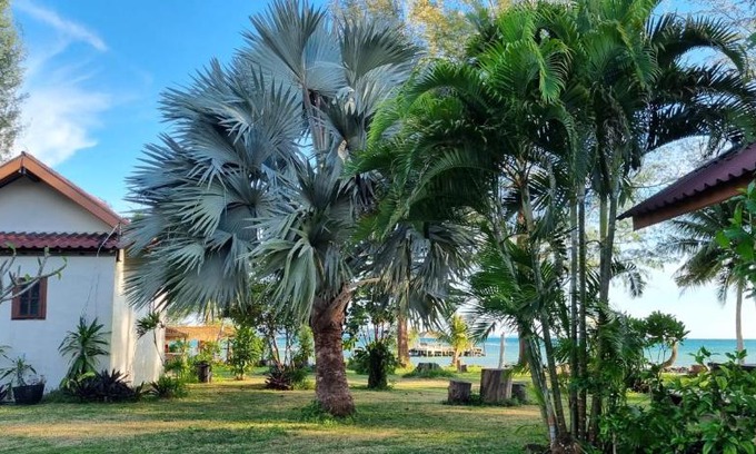 Ko Mak Hotel | Beachfront Bliss at TK Beach Resort Koh Mak - Family Friendly
