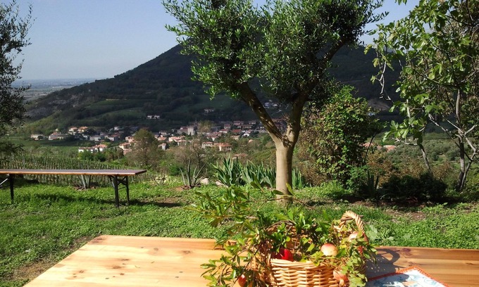 Cornoleda Apartment | Discover Italy: Family-Friendly Hotel Near Venice with WiFi