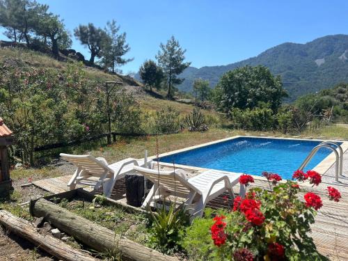 Ortaca Ski Chalet | Discover Togo Iztuzu Stonehouse: Pet-Friendly Getaway