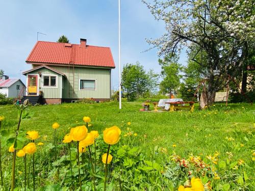 Joroinen House | Toivola