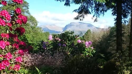 Fort William House | Scenic TOM BEAG with Breakfast and Ben Nevis Views