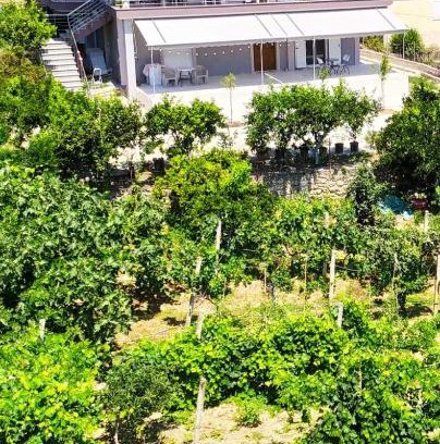 Mesopotam Apartment | Budget-Friendly Stay at Toma's Guest House with Breakfast