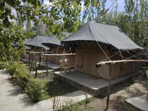 Nubra Valley Other | Discover Tongspon Camp Nubra: Family-Friendly Retreat