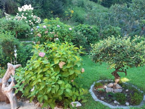 Volders Apartment | Explore TOP Garden View: Family-Friendly & Rated 9.2/10