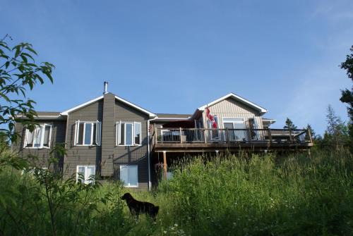 Calvin Bed & Breakfast | Pet-Friendly Retreat: Top of Algonquin Bed and Breakfast