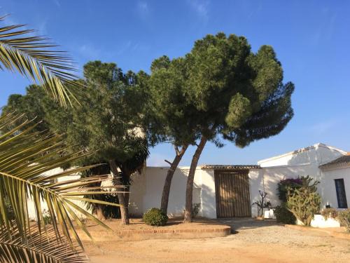 Campo Nubla Bed & Breakfast | Oceanfront Torre de la Campana - Rated 9.2 with Pool Access