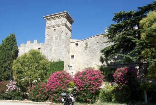 Collevalenza Hotel | Experience Torre Sangiovanni: Pet-Friendly Hotel & Dining