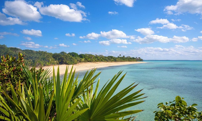 South Palmetto Point House | Secluded 40-Acre Beachfront Estate with Private Amenities
