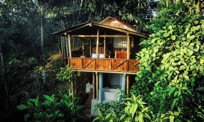 Ramonurcu Cabin | Toucan Lodge | Amazon Rainforest Retreat
