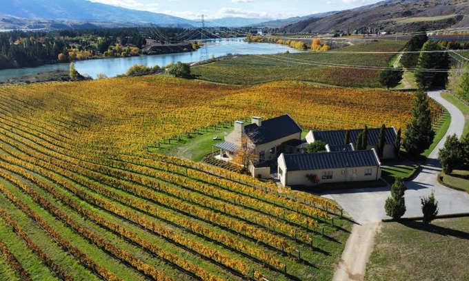 Lowburn House | Discover Towan House at Carrick Winery with Ocean Views