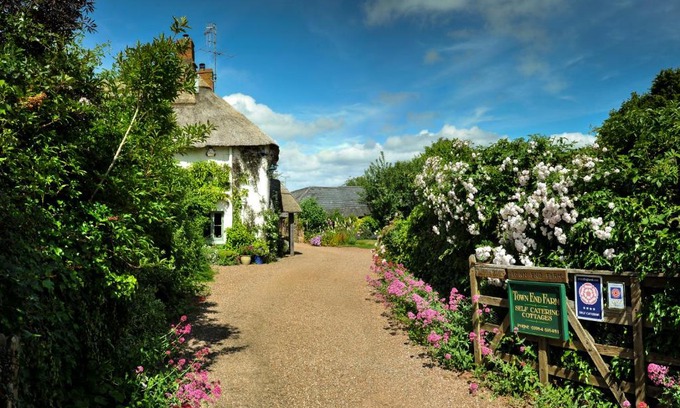 Crowcombe House | Cozy Town End Farm Cottages: 4-Star Stay with Kitchen & Pets