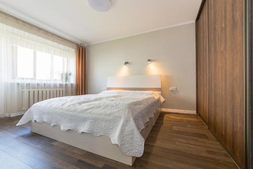 Panevezys Apartment | Town Square Apartment