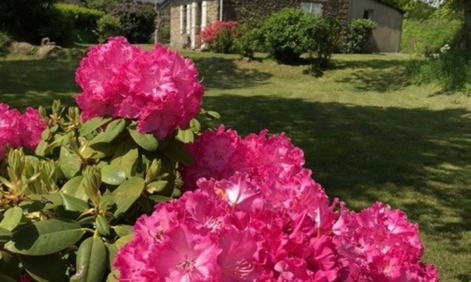 Lanrivain House | Traditional Breton Penty in the heart of Brittany.