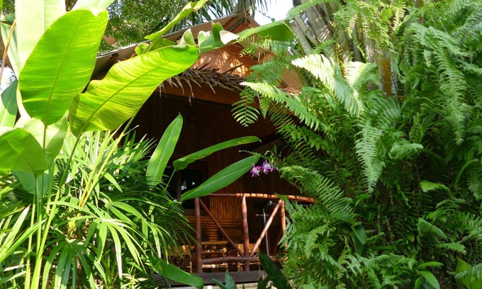 Lamai Cottage | Traditional Tropical Bungalow