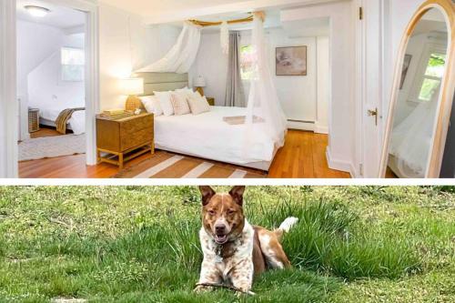 North Haven House | Explore Trail-side Haven Retreat: Pet-Friendly Getaway