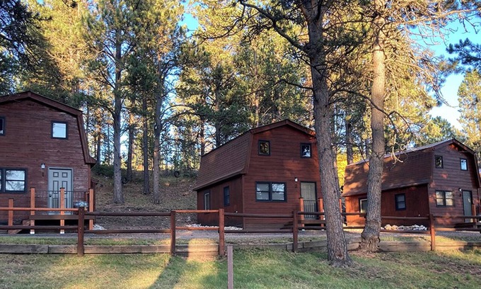 Deadwood House | Cozy Retreat at Trailshead Lodge - Family-Friendly Cabin 5