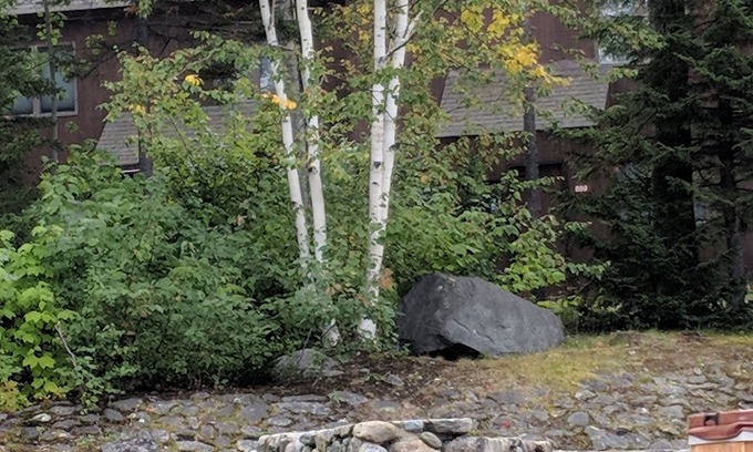Carrabassett Valley Condo | Family-Friendly Trailside Condo with Kitchen & Breakfast