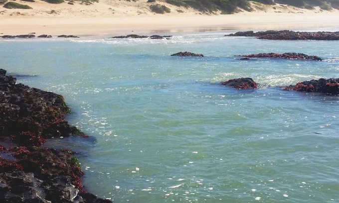 Paradise Beach Apartment | Idyllic Beach Retreat Near Renowned Surf Spots & Airport