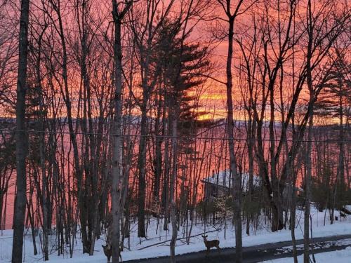 Port Douglass House | Serene Retreat with Scenic Views, Pet and Child Friendly