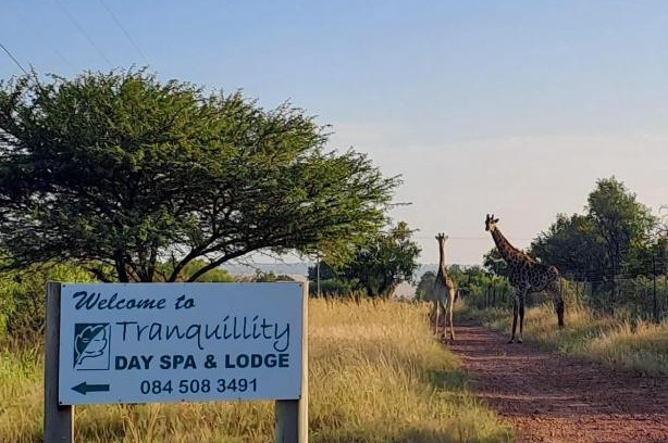 Cullinan House | Relaxing Retreat at Tranquillity Day Spa & Lodge