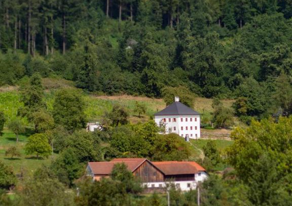 Schlußlberg House | Pet and Child Friendly Stay at Trattnachtaler Weinhaus