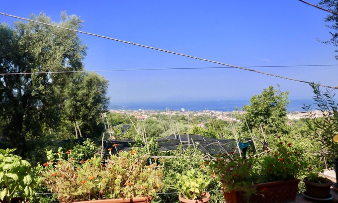 Meta Villa | Relax at Traulivi Villa: Oceanfront Pool & Spa Retreat