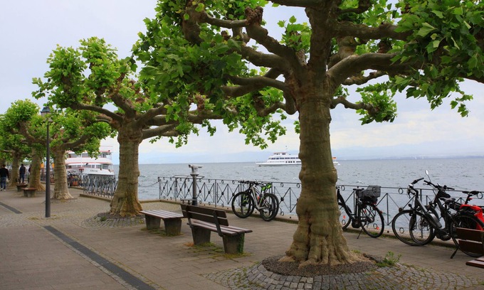 Meersburg Apartment | Scenic Lake and Mountain Views with Family-Friendly Amenities