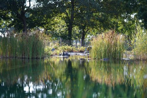 Schortens Apartment | Discover Traumkrone Ferienwohnungen - Abendrot with Pool & Pets