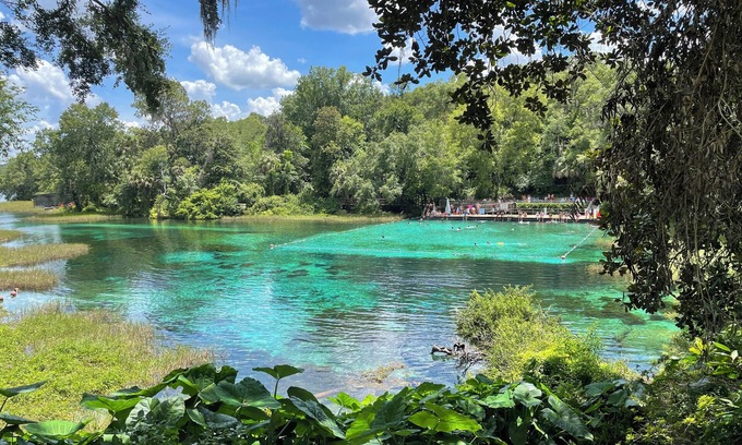 Homosassa House | Explore Central Florida Springs from Our Family-Friendly Home
