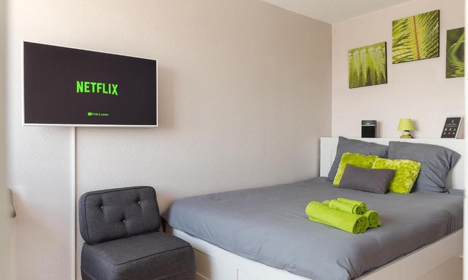 Mulhouse Apartment | Family-Friendly Stays at Travel Homes - Le Wilson Hotel