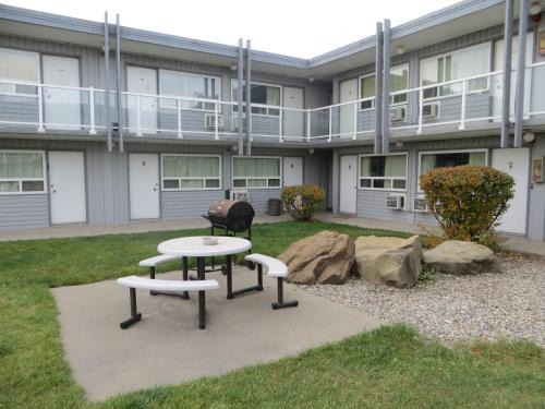 Montgomery Hotel | Pet Friendly Retreat at Travellers Inn for Budget-Conscious Guests