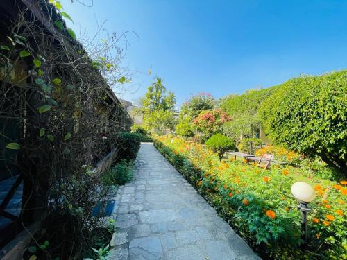 Sauraha Hotel | Discover Travellers Jungle Camp: Highly Rated & Family-Friendly