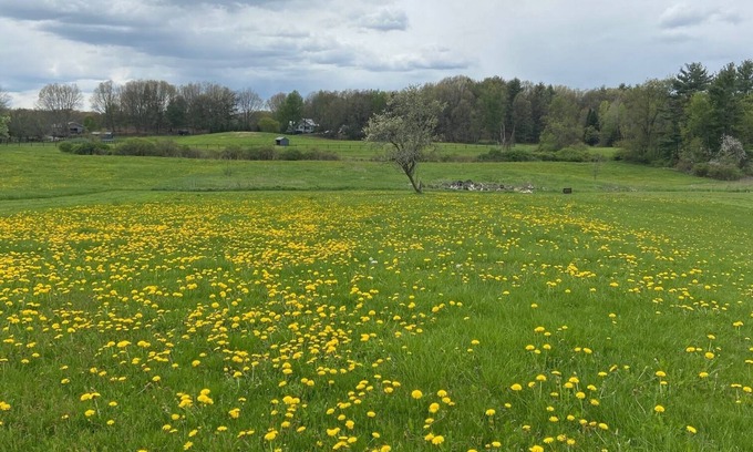 Schuylerville Other | Explore Travers Week with Family-Friendly Amenities