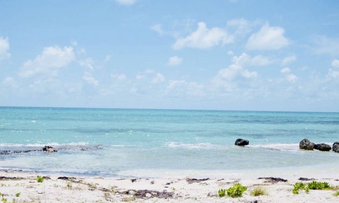 Palm Cay House | Treasure Cove Emerald: Oceanfront Retreat with Private Pool
