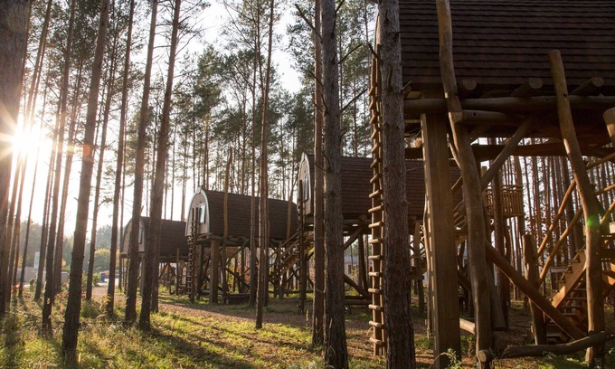 Senftenberg Cabin | Cozy Tree House Retreat for Two at Hafencamp Senftenberger See