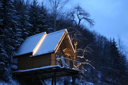 Montenegro Ski Chalet | Experience Tree House Living with 9.9/10 Guest Ratings