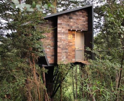 Puqueldon Cabin | Relax at Tree Lodge Chiloe - Enjoy Breakfast & Great Reviews