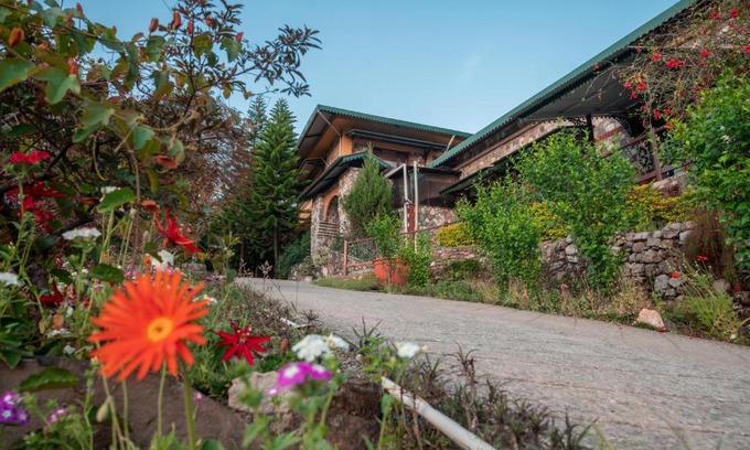 Bigha Resort | Discover Tree of Life Resort: Your Dehradun Escape Awaits