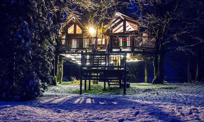 Cave Junction Resort | Unforgettable Tree Room Schoolhouse Suite with Pool Access