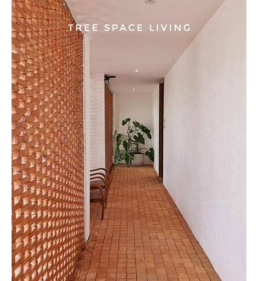 Lang Suan Hotel | Discover Tree Space Living: A Family-Friendly Retreat