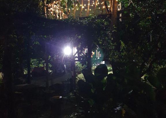 Karangan Other | Experience Nature at Tree Top Glamping Dusun Anum