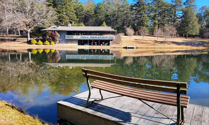 Arden Apartment | Tree Top Retreat: A Pet-Friendly Oasis Near Asheville
