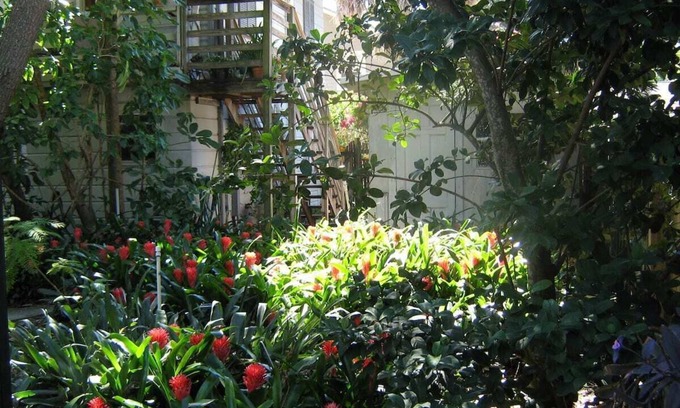 Historic Uptown Apartment | Inviting Treehouse 1BR Apt with Private Pool Near Downtown