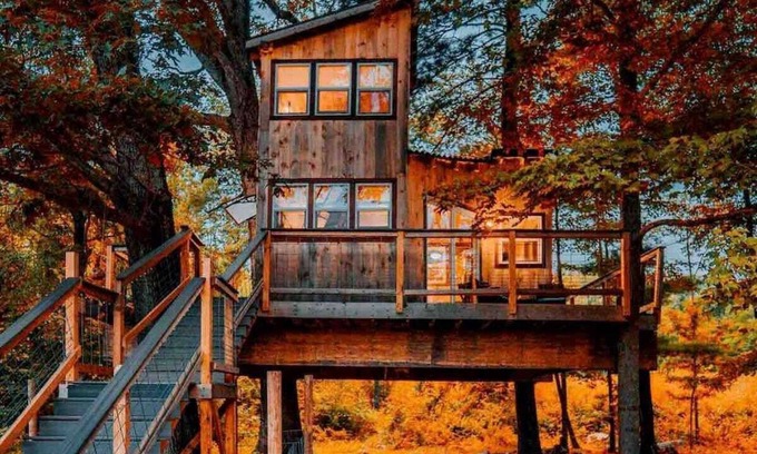 Willington Cabin | Idyllic Treehouse Retreat with Farm Animals and Fire Pit