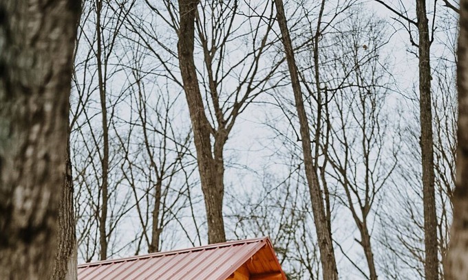 East Gwillimbury Cabin | Treehouse On Animal Sanctuary Hottub/Sauna/Trails