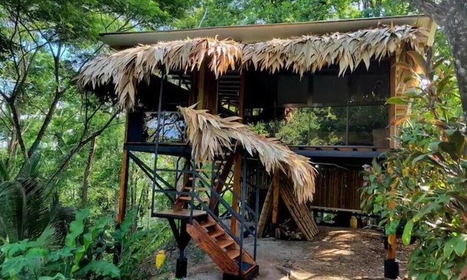 Cocles House | Unforgettable TreeTop Mansion: Jungle Meets Ocean Bliss