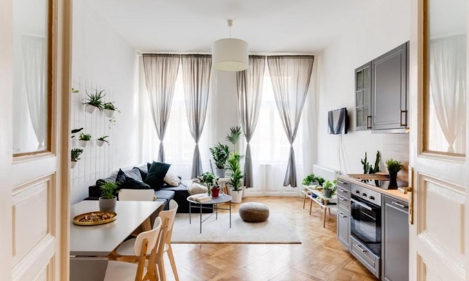 Lisbon Old Town House | Discover the Treeway Hotel: Pet-Friendly with Pool Access