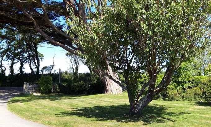 Mawnan Smith Cottage | Cozy Trelawne Garden Annexe: Pet-Friendly & Family-Oriented